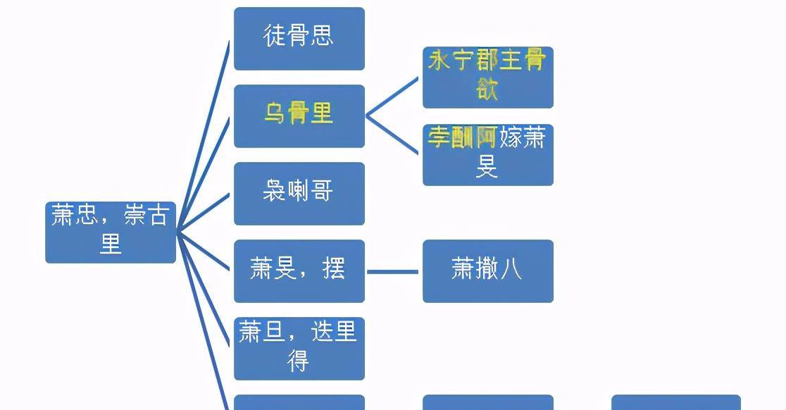 最新效期概念解析及影响分析