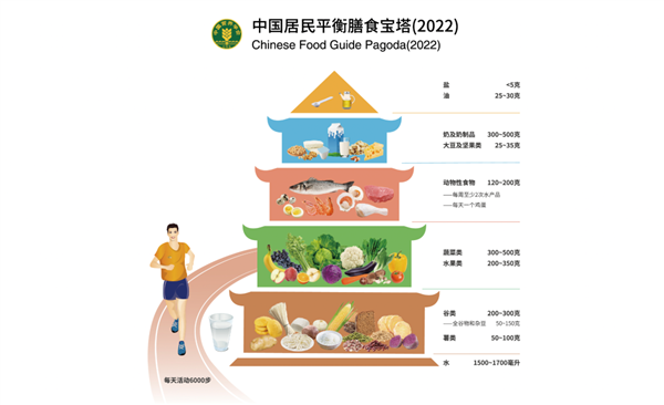 儿童膳食指南的重要性，最新解读与影响分析