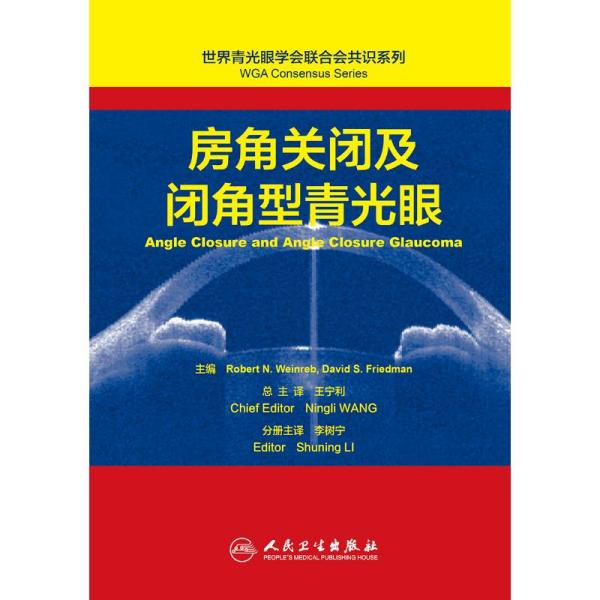 王宁利最新青光眼治疗方法及概述，探索青光眼治疗前沿