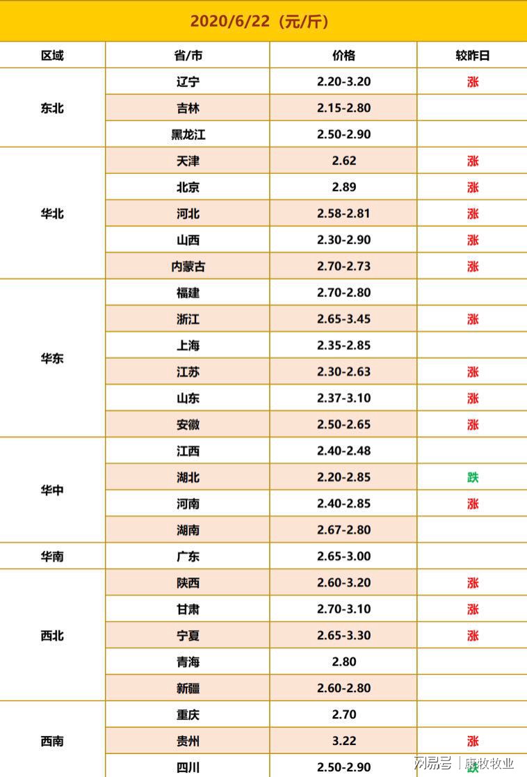 澳门跑狗图今日开奖开什么奖,调整计划执行细节_V296.197