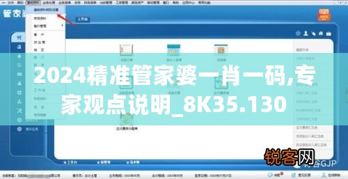 2024精准管家婆一肖一码,专家观点说明_8K35.130