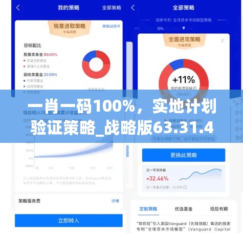 一肖一码100%，实地计划验证策略_战略版63.31.40