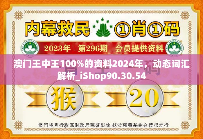 澳门王中王100%的资料2024年，动态词汇解析_iShop90.30.54