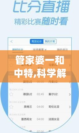 管家婆一和中特,科学解析评估_VIP60.916