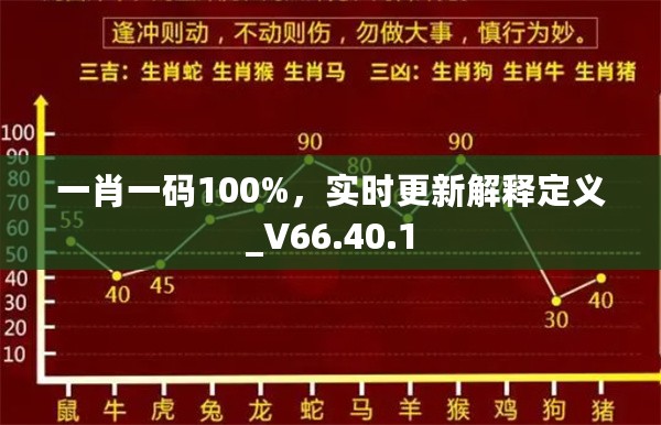 一肖一码100%，实时更新解释定义_V66.40.1