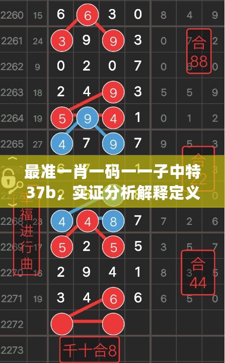 最准一肖一码一一子中特37b，实证分析解释定义_BT13.74.78