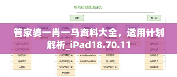 管家婆一肖一马资料大全，适用计划解析_iPad18.70.11