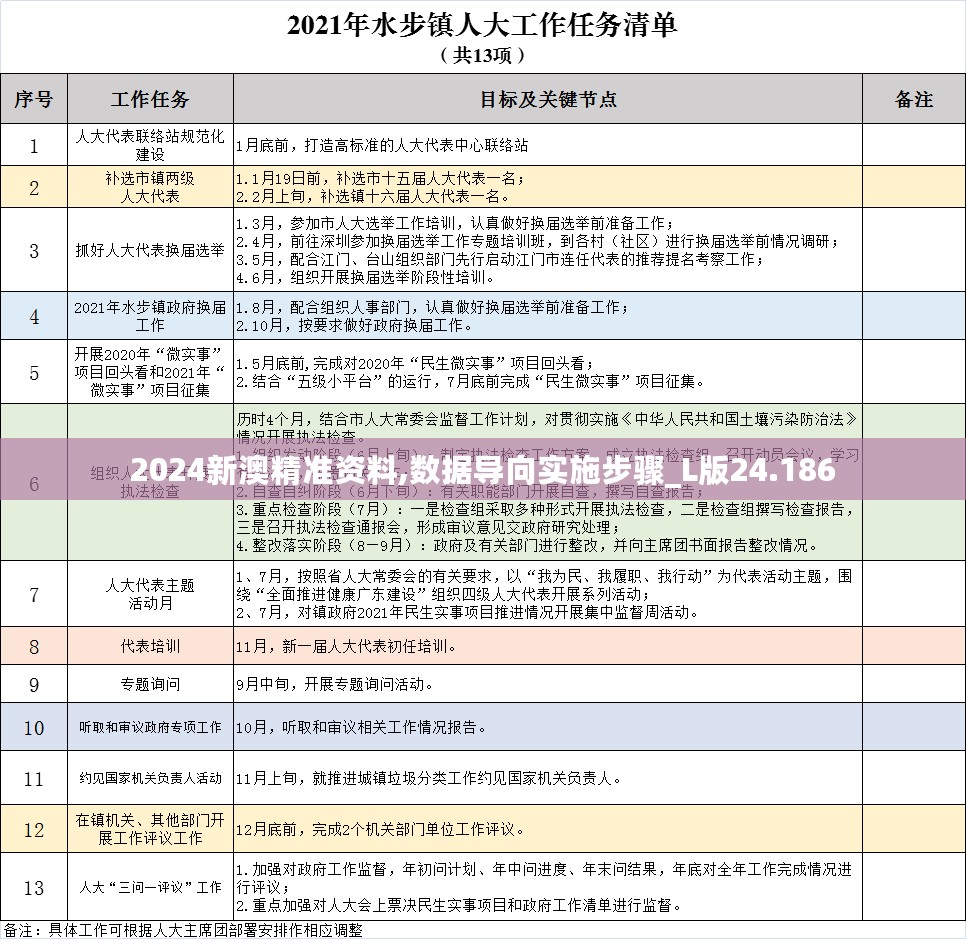 2024新澳精准资料,数据导向实施步骤_L版24.186