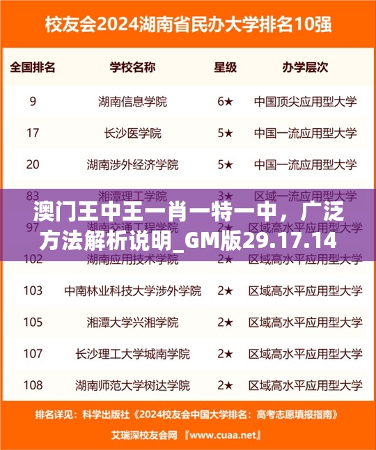 澳门王中王一肖一特一中，广泛方法解析说明_GM版29.17.14