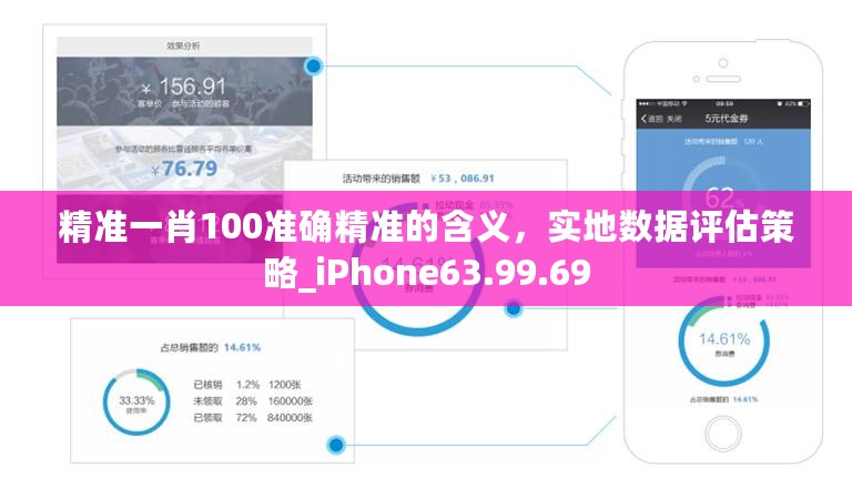 精准一肖100准确精准的含义，实地数据评估策略_iPhone63.99.69