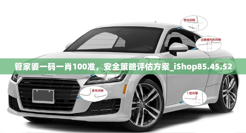 管家婆一码一肖100准，安全策略评估方案_iShop85.45.52