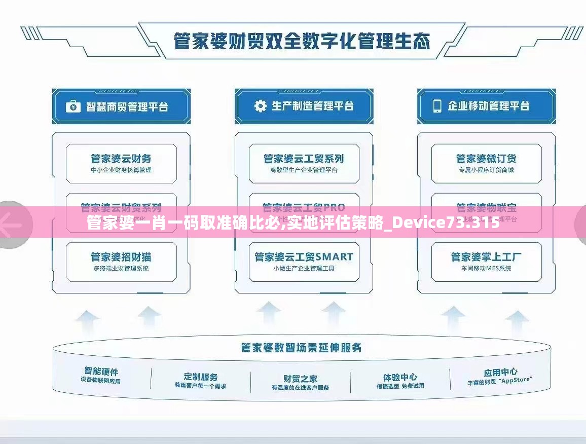 管家婆一肖一码取准确比必,实地评估策略_Device73.315