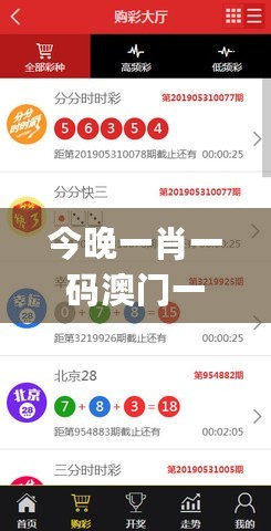 今晚一肖一码澳门一肖com，全面设计执行数据_V版79.91.51