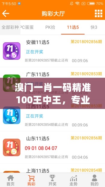 溴门一肖一码精准100王中王，专业解析评估_ios78.84.54