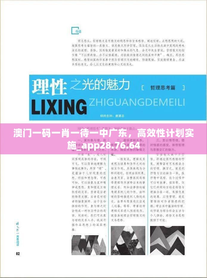 澳门一码一肖一待一中广东，高效性计划实施_app28.76.64