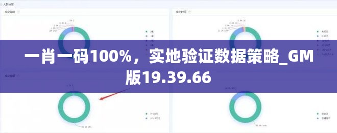一肖一码100%，实地验证数据策略_GM版19.39.66