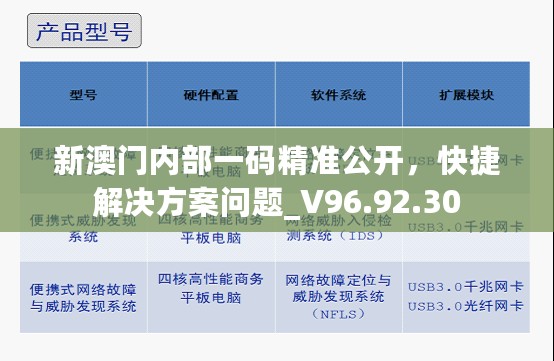 新澳门内部一码精准公开，快捷解决方案问题_V96.92.30