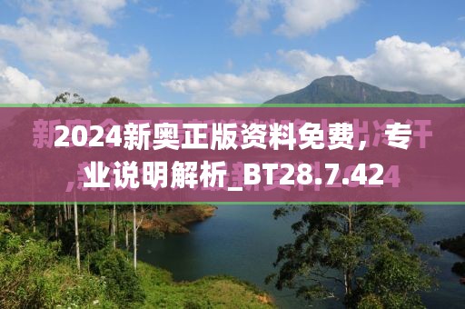 2024新奥正版资料免费，专业说明解析_BT28.7.42