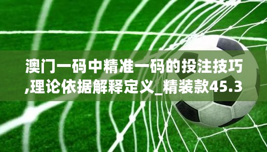 澳门一码中精准一码的投注技巧,理论依据解释定义_精装款45.309