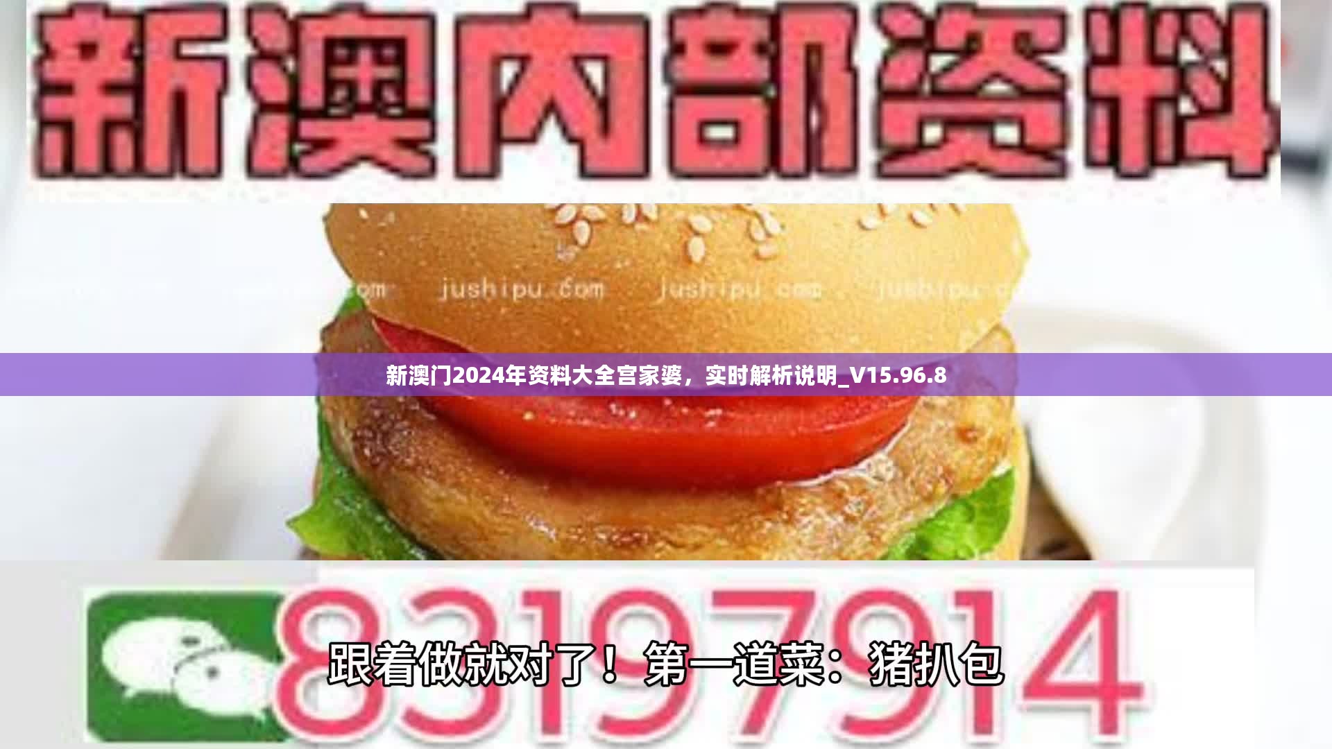 新澳门2024年资料大全宫家婆，实时解析说明_V15.96.8