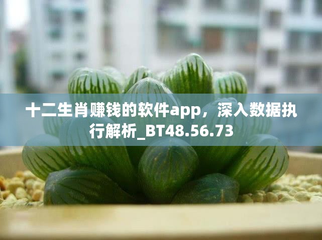 十二生肖赚钱的软件app，深入数据执行解析_BT48.56.73