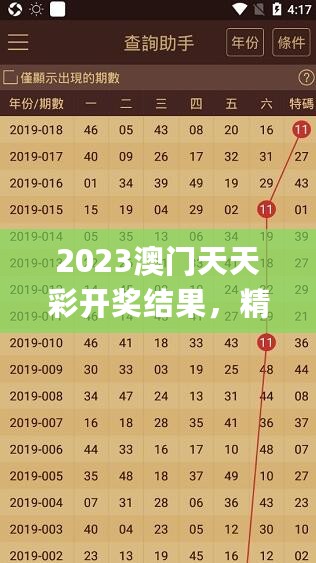 2023澳门天天彩开奖结果，精细化计划执行_VIP96.90.16