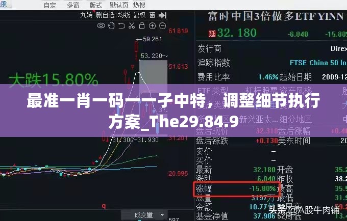 最准一肖一码一一孑中特，调整细节执行方案_The29.84.9