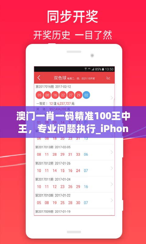 澳门一肖一码精准100王中王，专业问题执行_iPhone2.71.33