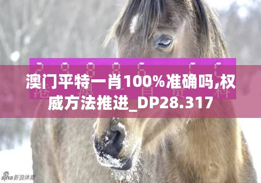 澳门平特一肖100%准确吗,权威方法推进_DP28.317