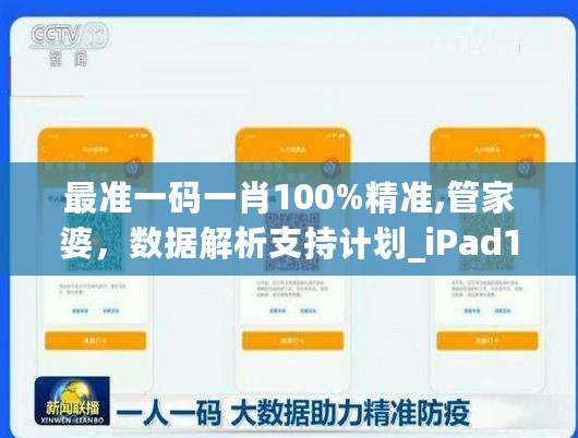 最准一码一肖100%精准,管家婆，数据解析支持计划_iPad13.99.61