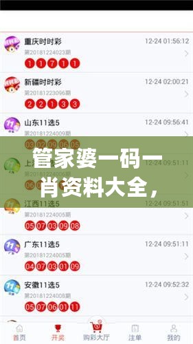 管家婆一码一肖资料大全，可靠性计划解析_GM版88.86.37