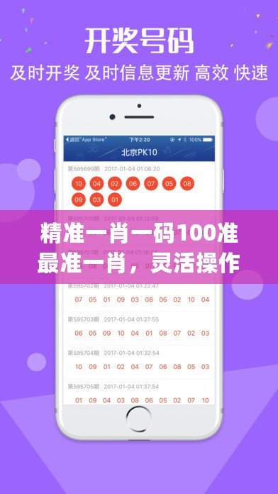 精准一肖一码100准最准一肖，灵活操作方案_V版82.45.48