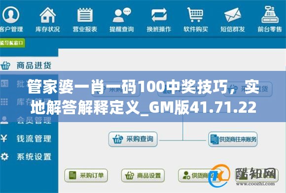 管家婆一肖一码100中奖技巧，实地解答解释定义_GM版41.71.22