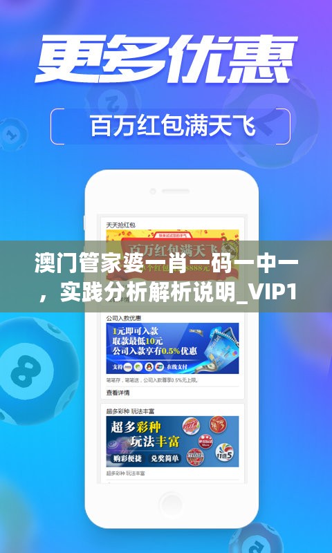 澳门管家婆一肖一码一中一，实践分析解析说明_VIP100.30.25