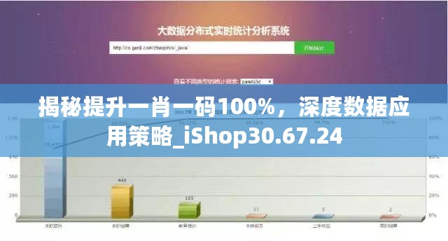 揭秘提升一肖一码100%，深度数据应用策略_iShop30.67.24