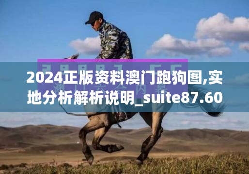 2024正版资料澳门跑狗图,实地分析解析说明_suite87.602