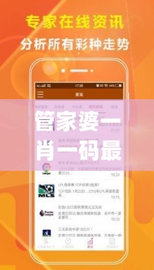 管家婆一肖一码最准资料公开，高效计划设计_V83.60.86