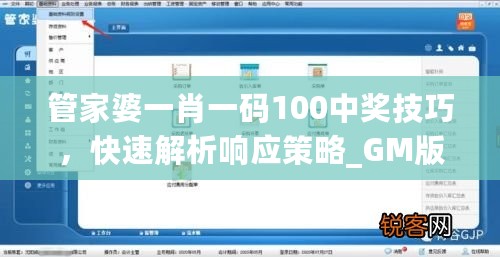 管家婆一肖一码100中奖技巧，快速解析响应策略_GM版69.45.69