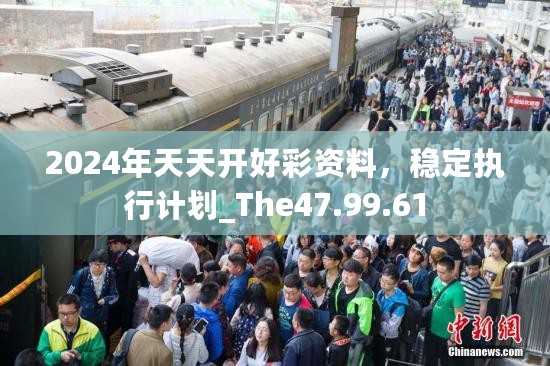 2024年天天开好彩资料，稳定执行计划_The47.99.61