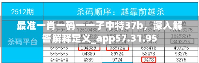 最准一肖一码一一子中特37b，深入解答解释定义_app57.31.95