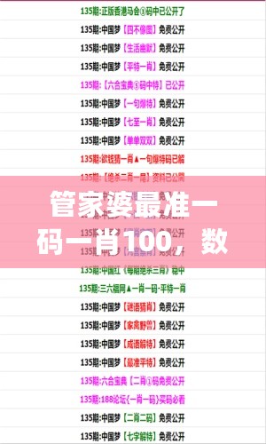 管家婆最准一码一肖100，数据整合方案实施_战略版93.58.85