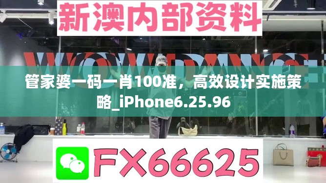 管家婆一码一肖100准，高效设计实施策略_iPhone6.25.96