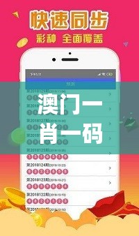 澳门一肖一码精准100王中王，经济方案解析_网页版92.7.6