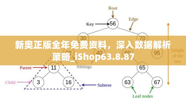 新奥正版全年免费资料，深入数据解析策略_iShop63.8.87