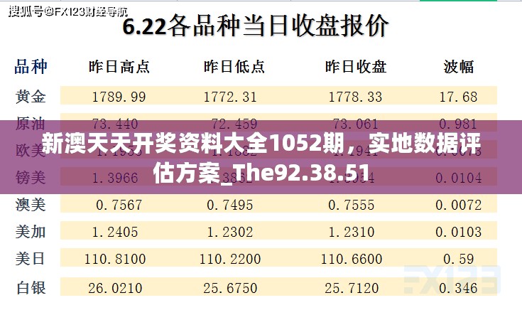 新澳天天开奖资料大全1052期，实地数据评估方案_The92.38.51