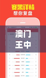 澳门王中王一肖一特一中，快速解答解释定义_The29.84.9