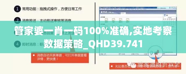 管家婆一肖一码100%准确,实地考察数据策略_QHD39.741