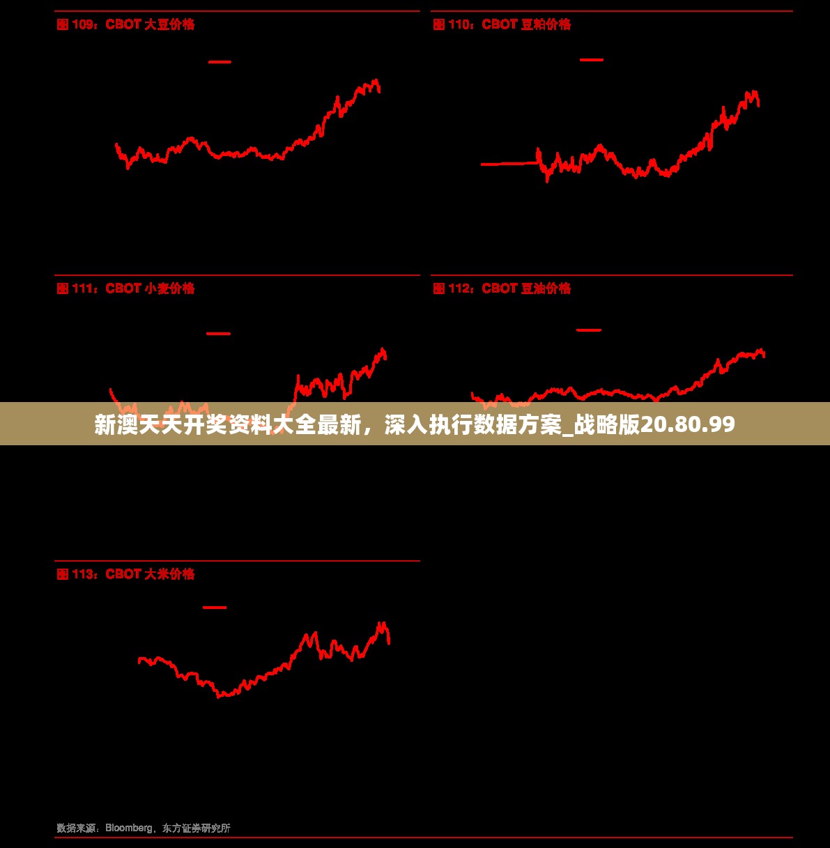 新澳天天开奖资料大全最新，深入执行数据方案_战略版20.80.99