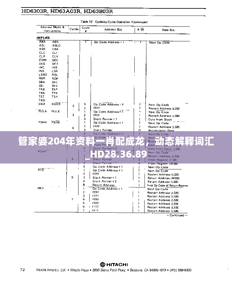 管家婆204年资料一肖配成龙，动态解释词汇_HD28.36.89