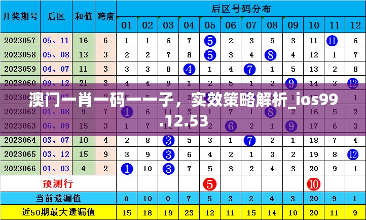 澳门一肖一码一一子，实效策略解析_ios99.12.53